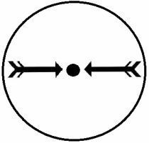 protectionnativeamerican