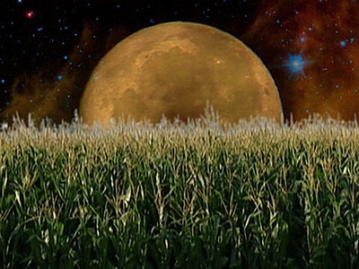 4b34277f8b465047acf3fabc83f271cf